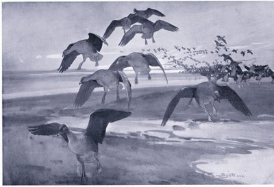 Dropping on the High Sands by Frank Southgate